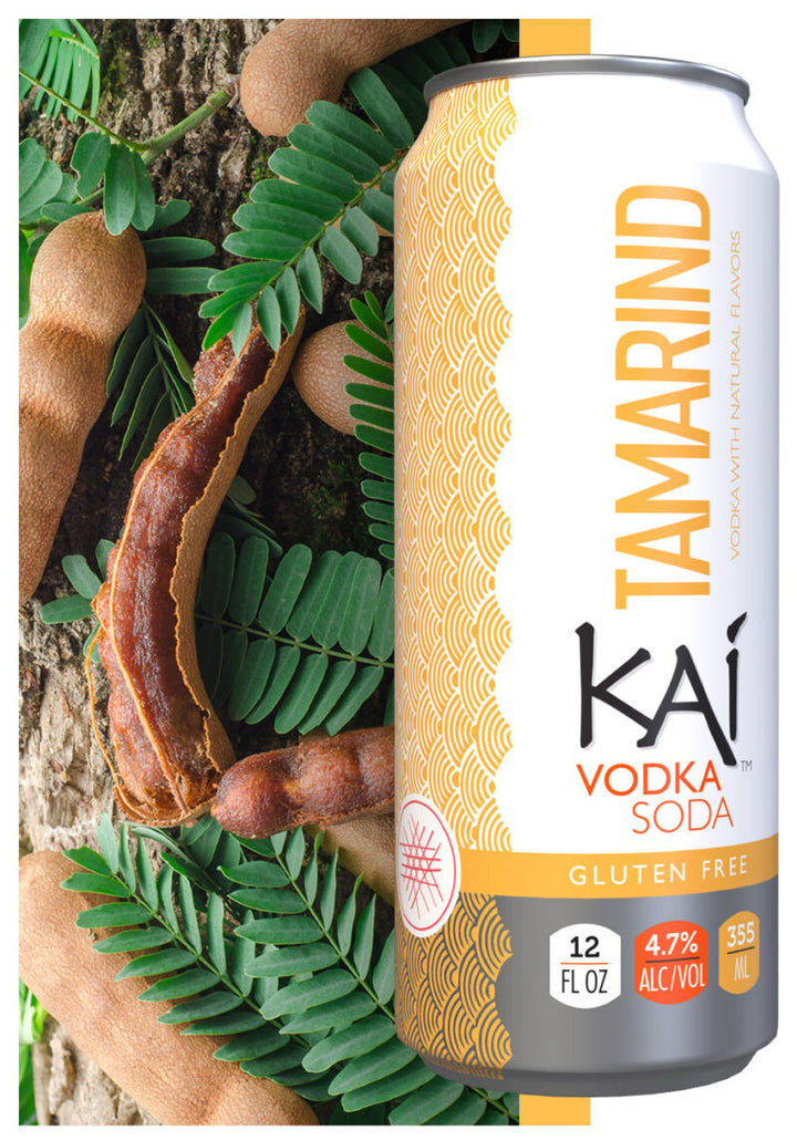 KAI VODKA SODA TAMARIND 4PK